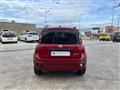 FIAT Panda Cross 1.0 firefly hybrid Cross s&s 70cv 5p.ti