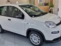 FIAT PANDA 1.0 FireFly S&S Hybrid Pandina