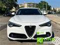 ALFA ROMEO STELVIO 2.2 Turbodiesel 210 CV AT8 Q4 B-Tech