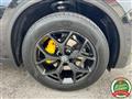 ALFA ROMEO STELVIO 2.2 190cv Q4 PinzeGialle Sedili Elettr.