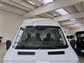 FORD TRANSIT FORD TRANSIT / 2019 / 4P / FURGONE 350 L3H3 TREND 2.0TDCI 13