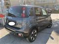 FIAT PANDA CROSS 1.0 FireFly S&S Hybrid