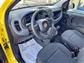 FIAT PANDA 1.0 FireFly S&S Hybrid - KM0