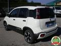 FIAT PANDA 1.0 FireFly S&S Hybrid Pandina