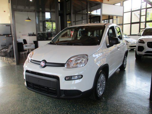 FIAT PANDA 1.0 FireFly S&S Hybrid - BLUETOOTH