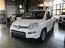 FIAT PANDA 1.0 FireFly S&S Hybrid - BLUETOOTH