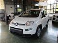 FIAT PANDA 1.0 FireFly S&S Hybrid - BLUETOOTH