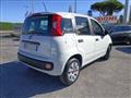 FIAT PANDA 1.2 Pop OTTIME CONDIZIONI, PREZZO REALE!!