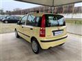 FIAT PANDA 1.2 Dualogic AUTOMATICA NEOPATENTATI