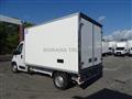 OPEL MOVANO CELLA ISOTERMICA -20° CON PARATIA MOBILE FRCX