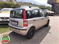 FIAT PANDA 1.1 Actual - OK NEOPATENTATI -