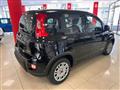 FIAT PANDA 1.0 FireFly S&S Hybrid SENZA FINANZIAMENTO