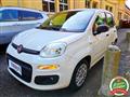 FIAT PANDA 1.2 EasyPower Easy UNICO PROPRIETARIO