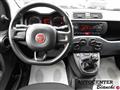 FIAT PANDA 1.2 EasyPower Easy