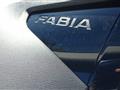 SKODA NUOVA FABIA Fabia 1.0 TSI EVO 95 CV Style