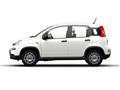 FIAT PANDA NEW 1.0 70cv Hybrid Panda