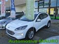 FORD KUGA 1.5 EcoBlue 120 CV aut. 2WD Titanium Business