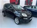 FIAT PANDA 1.2 Lounge con promo "PANERO PLUS"