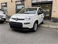 FIAT PANDA 1.0 FireFly S&S Hybrid Pandina