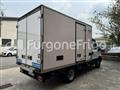 IVECO DAILY Coibentato Isotermico Frigorifero