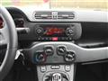 FIAT PANDA 1.2 Easy PREZZO REALE!!