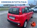 FIAT PANDA 1.0 FIREFLY HYBRID CITY LIFE X NEOPATENTATI-