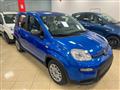 FIAT PANDA 1.0 FireFly S&S Hybrid SENZA FINANZIAMENTO