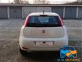 FIAT PUNTO 1.4 8V 5 porte Natural Power Street