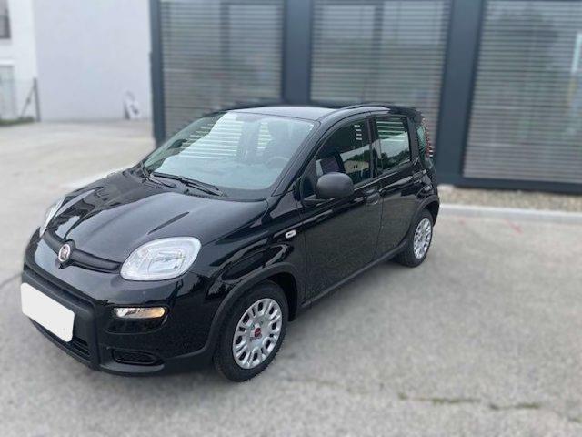 FIAT PANDA FIAT PANDA  Hybrid