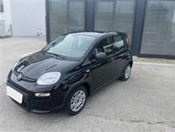 FIAT PANDA FIAT PANDA  Hybrid