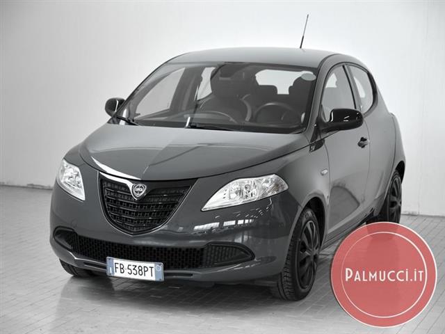 LANCIA YPSILON 1.2 69 CV 5 porte Elefantino