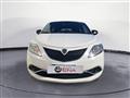 LANCIA YPSILON 1.2 69 CV 5 porte Gold