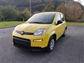 FIAT PANDA 1.0 FireFly S&S Hybrid Pandina