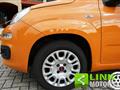 FIAT PANDA 1.2 Easy Power 69CV 2020 - 62.000KM - NEOPATENTATI