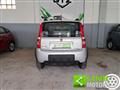 FIAT PANDA 1.2 4X4 Dynamic NEOPATENTATI