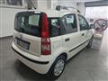 FIAT PANDA 1.2 Active