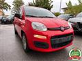 FIAT PANDA 1.2 Easy Climatizzata Neo Patentati