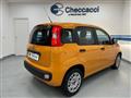 FIAT PANDA 3ª serie -  1.2 Easy