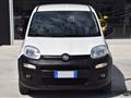 FIAT PANDA VAN 1.2 Van 2 posti