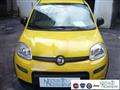 FIAT PANDA 1.0 FireFly S&S Hybrid Pandina Urban Radio Km 0