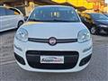 FIAT PANDA 1.2 Easy OK X NEOPATENTATI  N°FY852