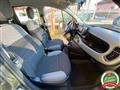 FIAT PANDA 1.0 firefly hybrid City Life