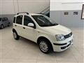 FIAT PANDA VAN 1.2 Van Active 2 posti