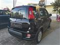 FIAT PANDA 1.0 70CV Hybrid #PRONTA CONSEGNA