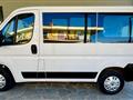 FIAT DUCATO 33 2.3 MJT 140CV PM-TM Furgone