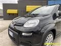 FIAT PANDA 1.0 FireFly S&S Hybrid Pandina **KM0** NEOPATENTAT