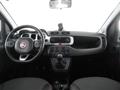 FIAT PANDA CROSS Panda Cross 0.9 TwinAir Turbo S&S 4x4