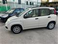 FIAT PANDA 1.2 Easy KM CERTIFICATI PROVENIENZA TOSCANA