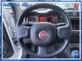 FIAT PANDA VAN Van 1.0 Hybrid 2 posti