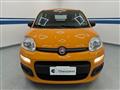 FIAT PANDA 3ª serie -  1.2 Easy